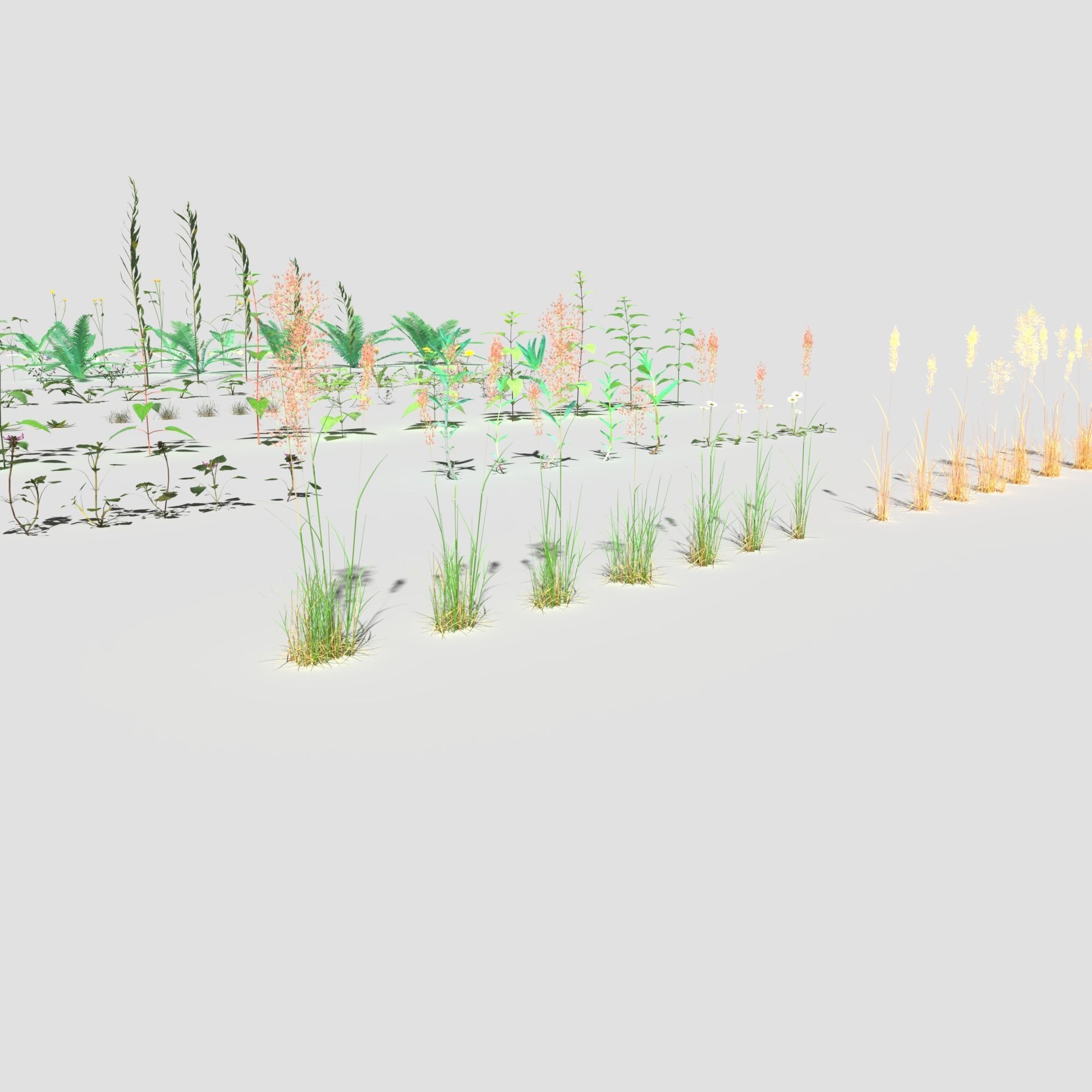 Plant Pack Meadow 3D model_20