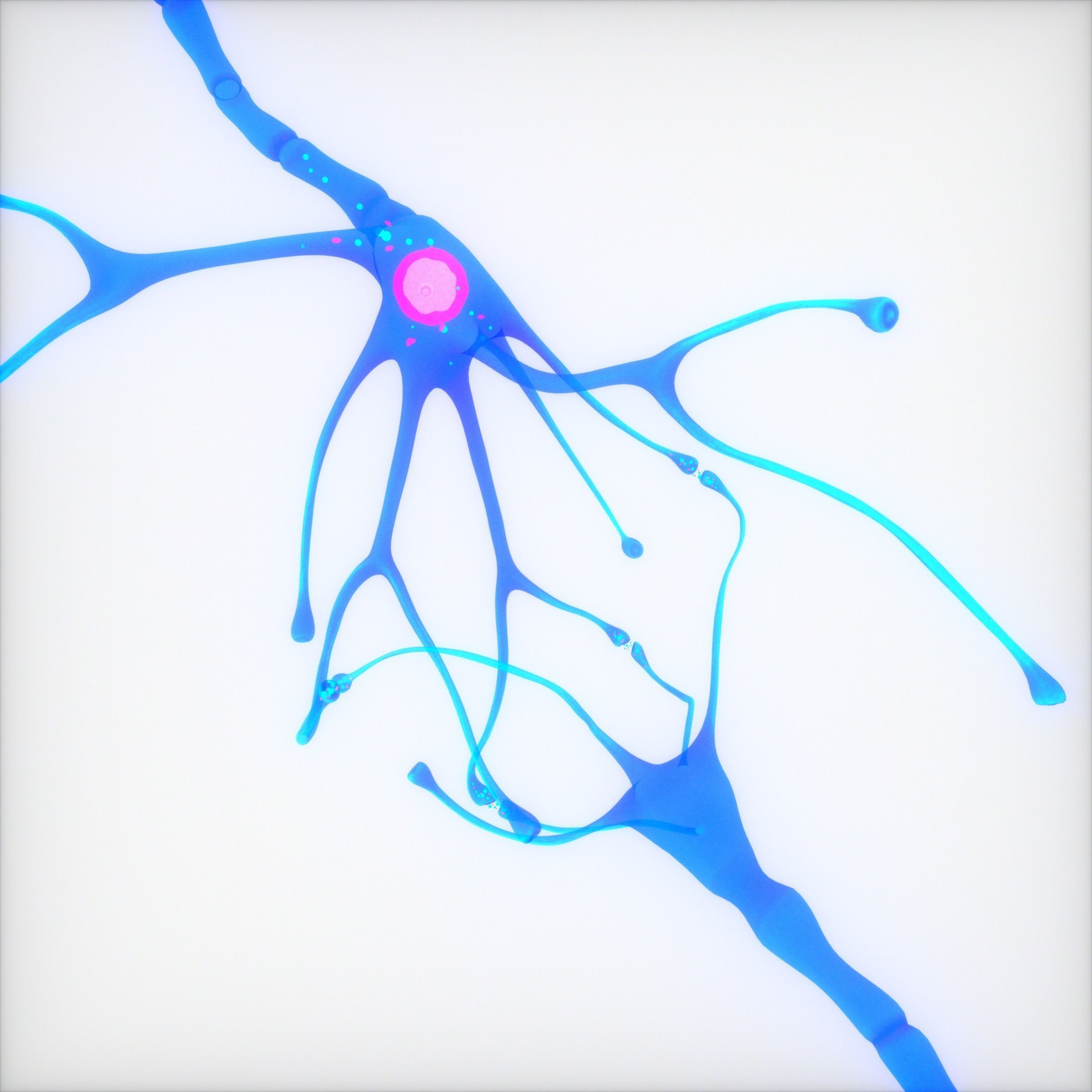 Nerve Cell Anatomy In Details 3D model_7