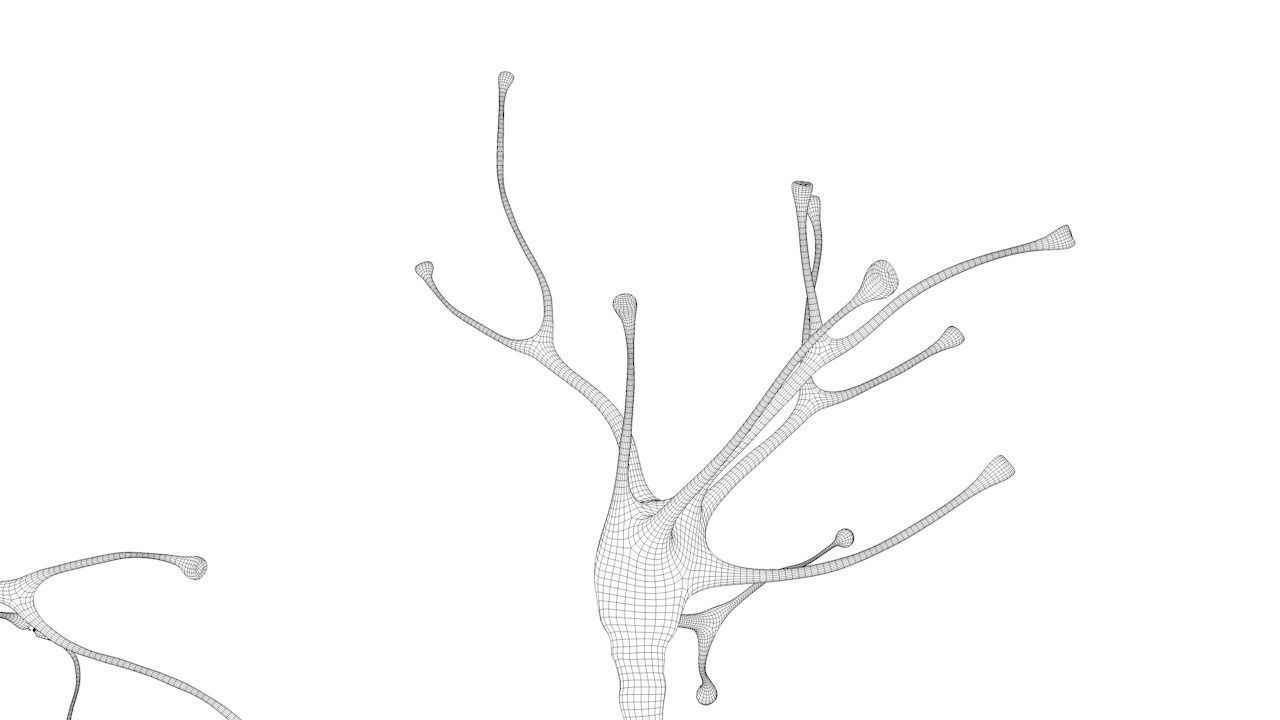Nerve Cell Anatomy In Details 3D model_9