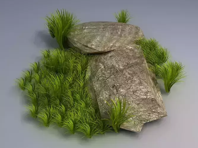 Brushwood - Gravel 05