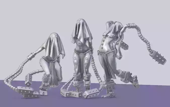 Arcofabulous Flagellant Set 1 3D print model