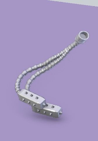 Arcofabulous Flagellant Set 1 3D print model_12