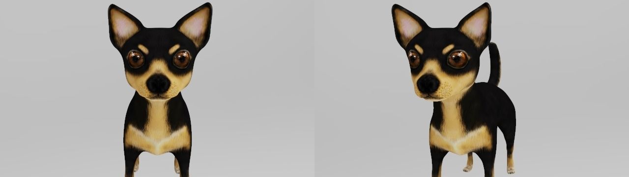 DOG CHIHUAHUA Low-poly 3D model_2