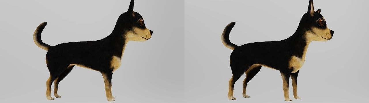DOG CHIHUAHUA Low-poly 3D model_4