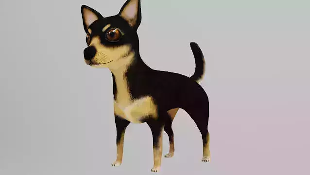 DOG CHIHUAHUA