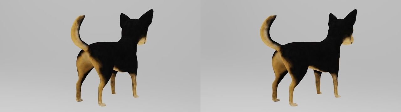 DOG CHIHUAHUA Low-poly 3D model_5
