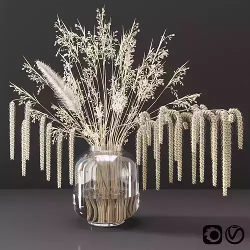 Bouquet with dry plants