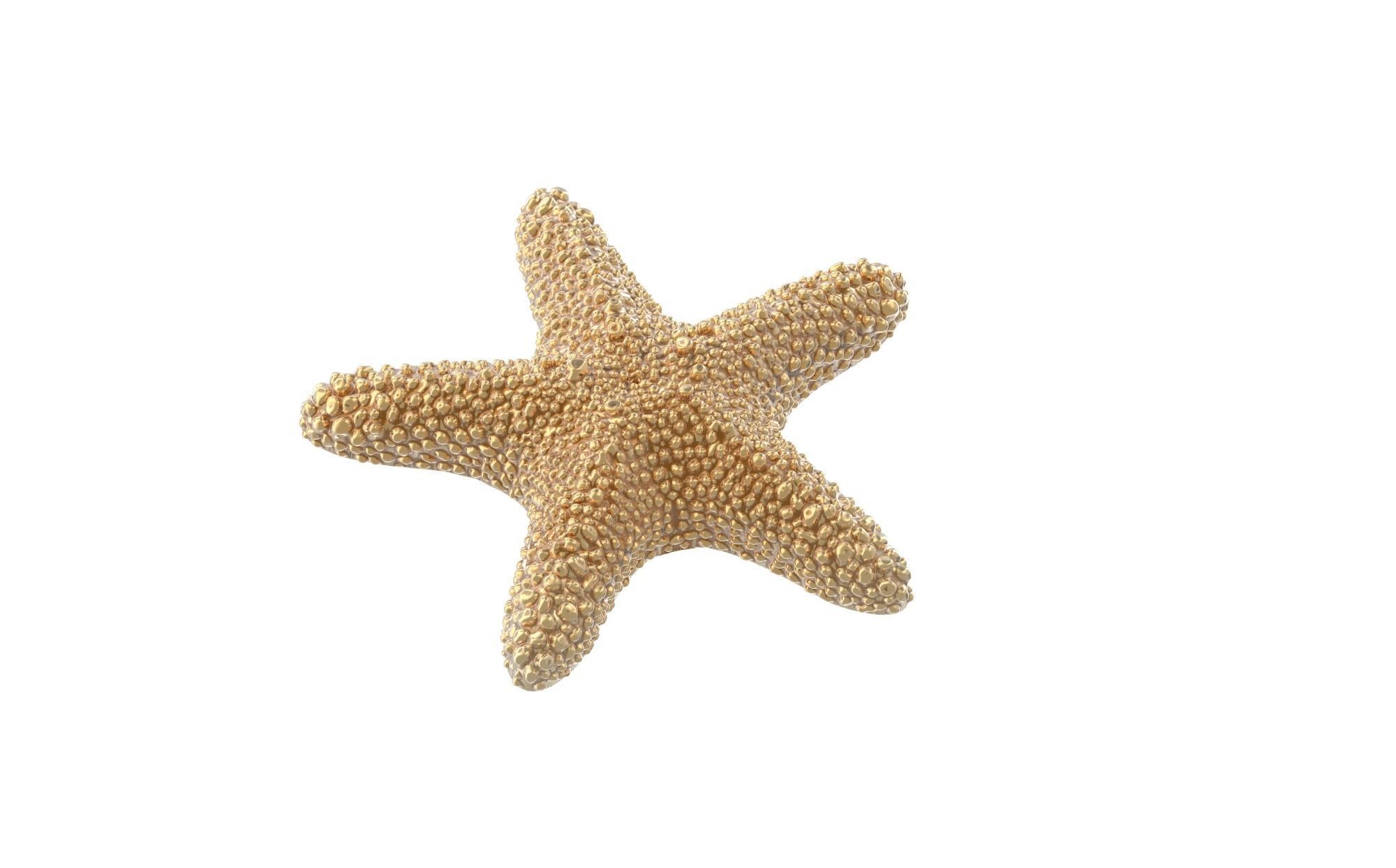 starfish pendant 3D model 3D print model_1