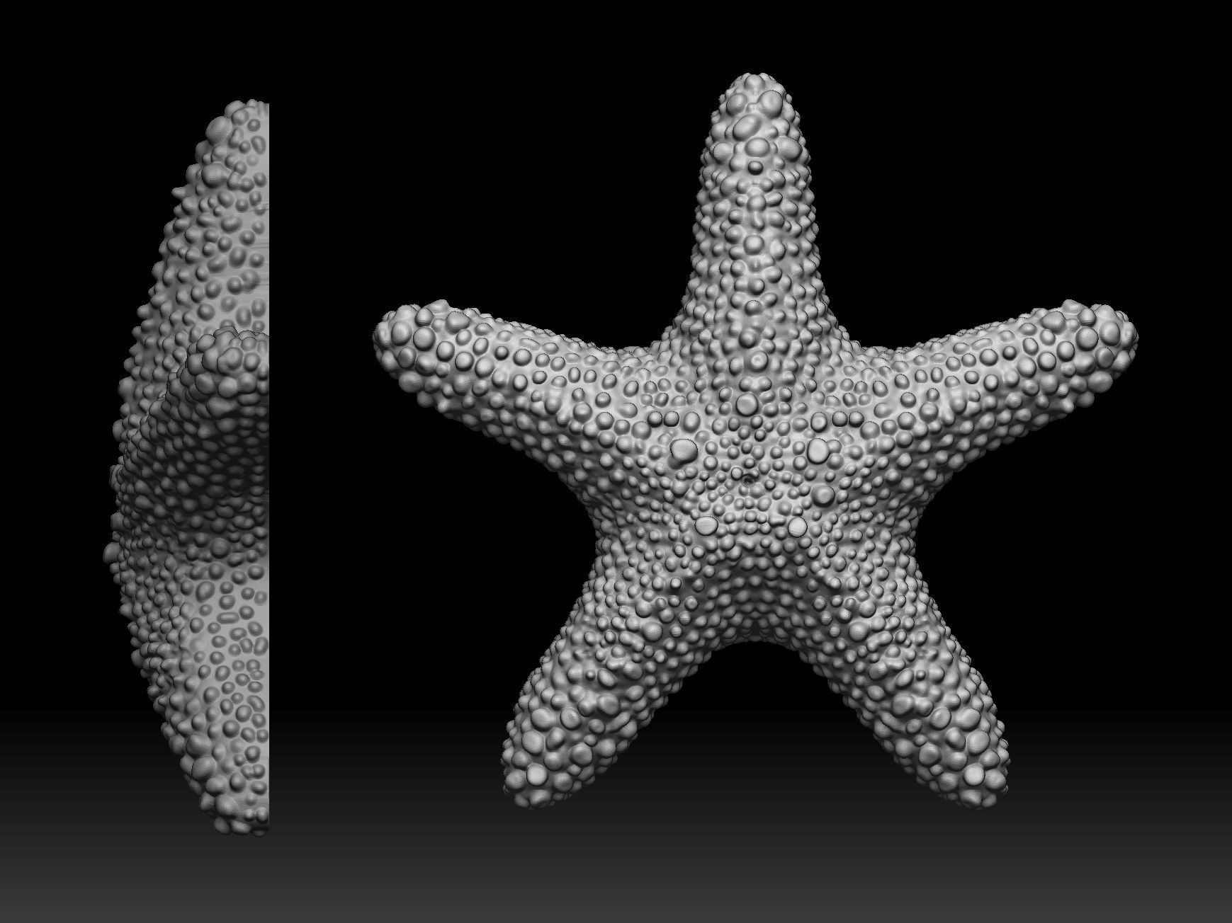 starfish pendant 3D model 3D print model_2
