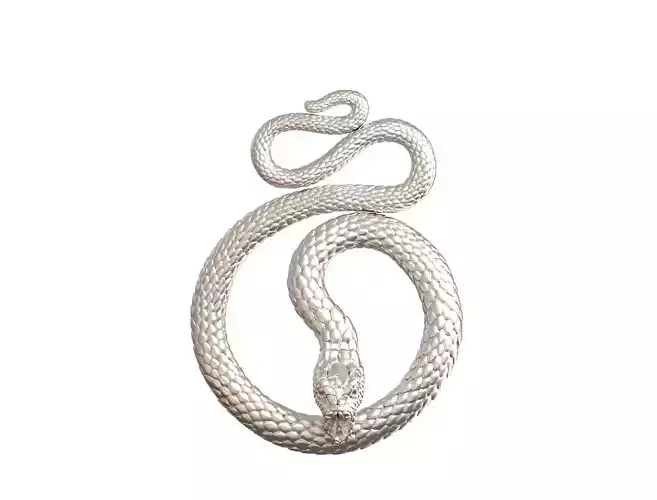 Snake pendant 3D print model