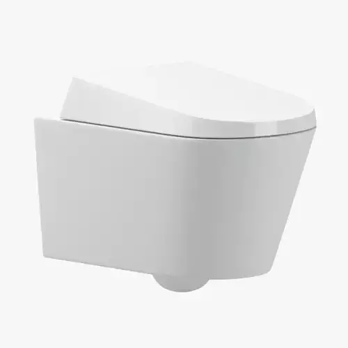 Geberit toilet