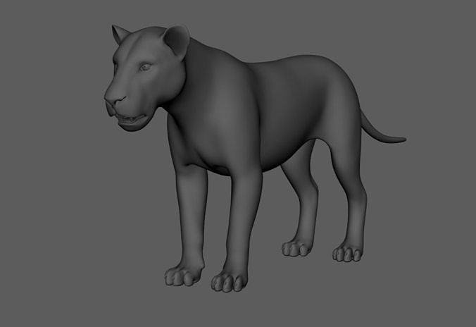 Lion-Lioness panther 3D model