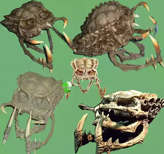 Monster skull - hole