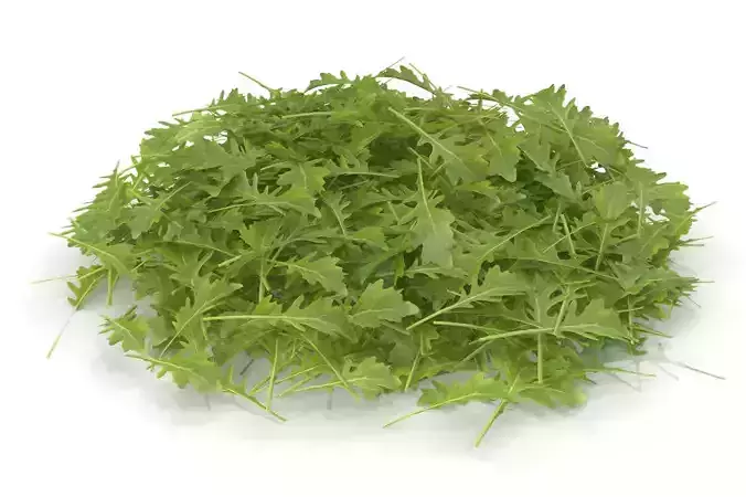 Arugula PS