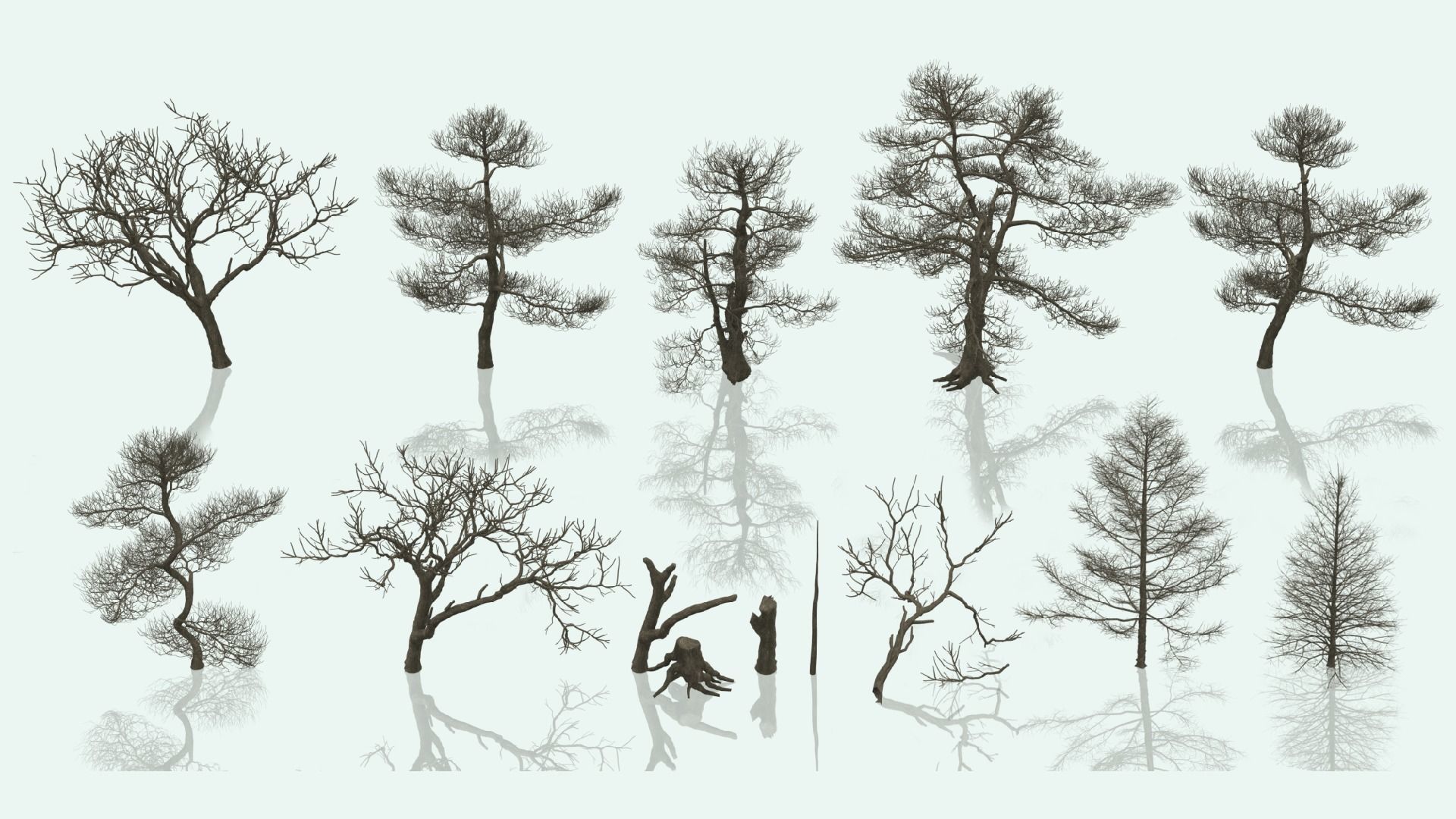 Dead Trees Pack 3D model_9