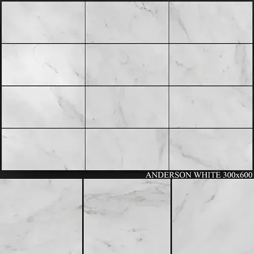 Yurtbay Seramik Anderson White 300x600 3D model