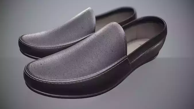 model of Loafer Shoe