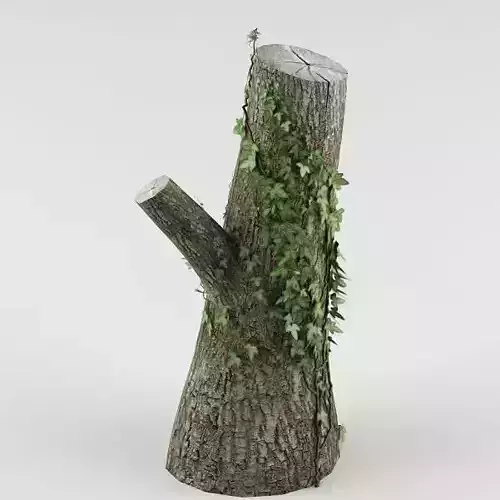 Tree 03 cut trunk 3D model