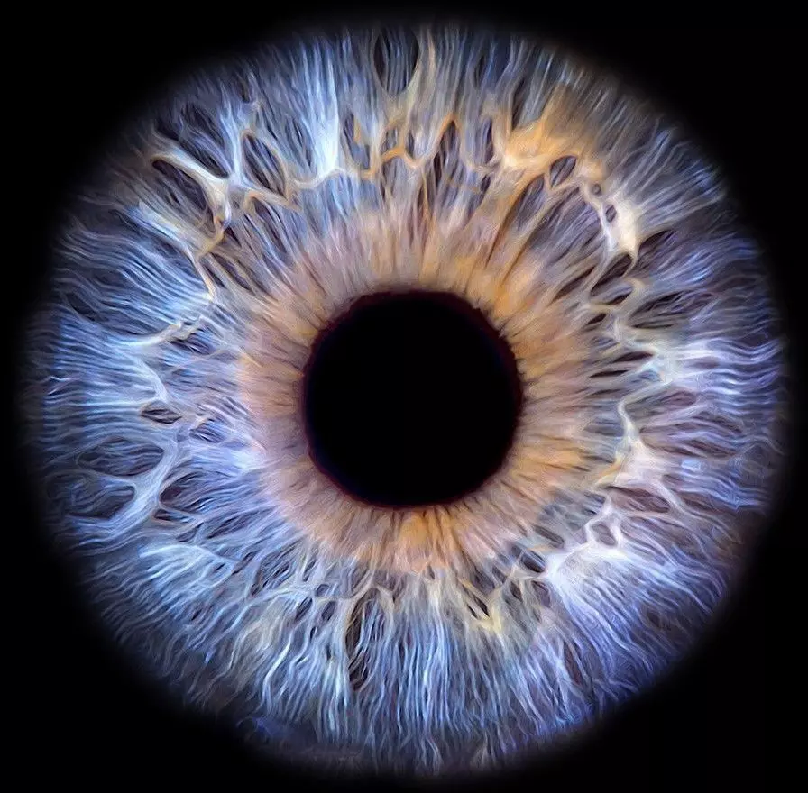 Blue eyes 3D model_0