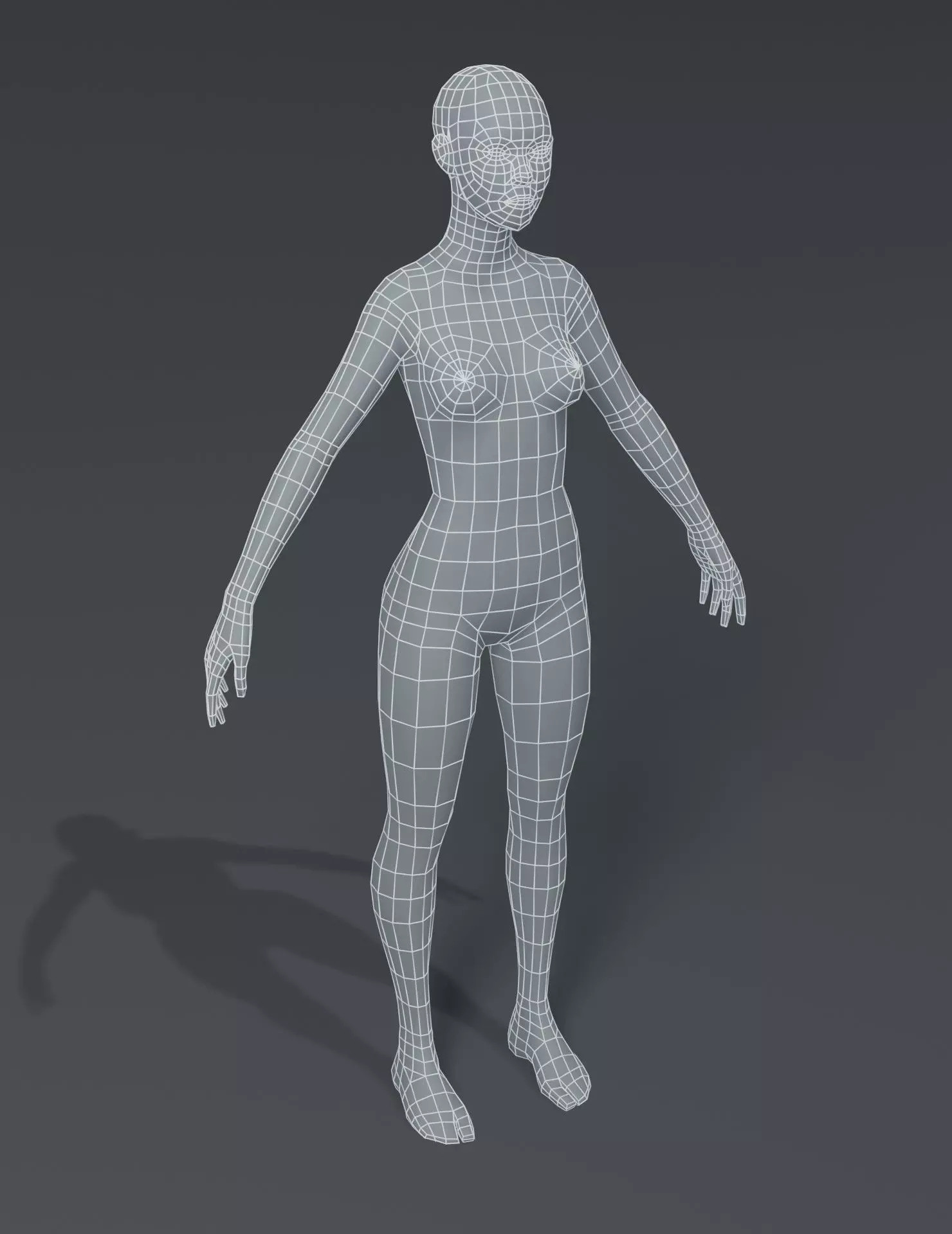 Female Body Base Mesh 3D Model Low-poly 3D model_0
