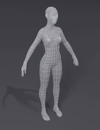 Female Body Base Mesh 3D Model Low-poly 3D model