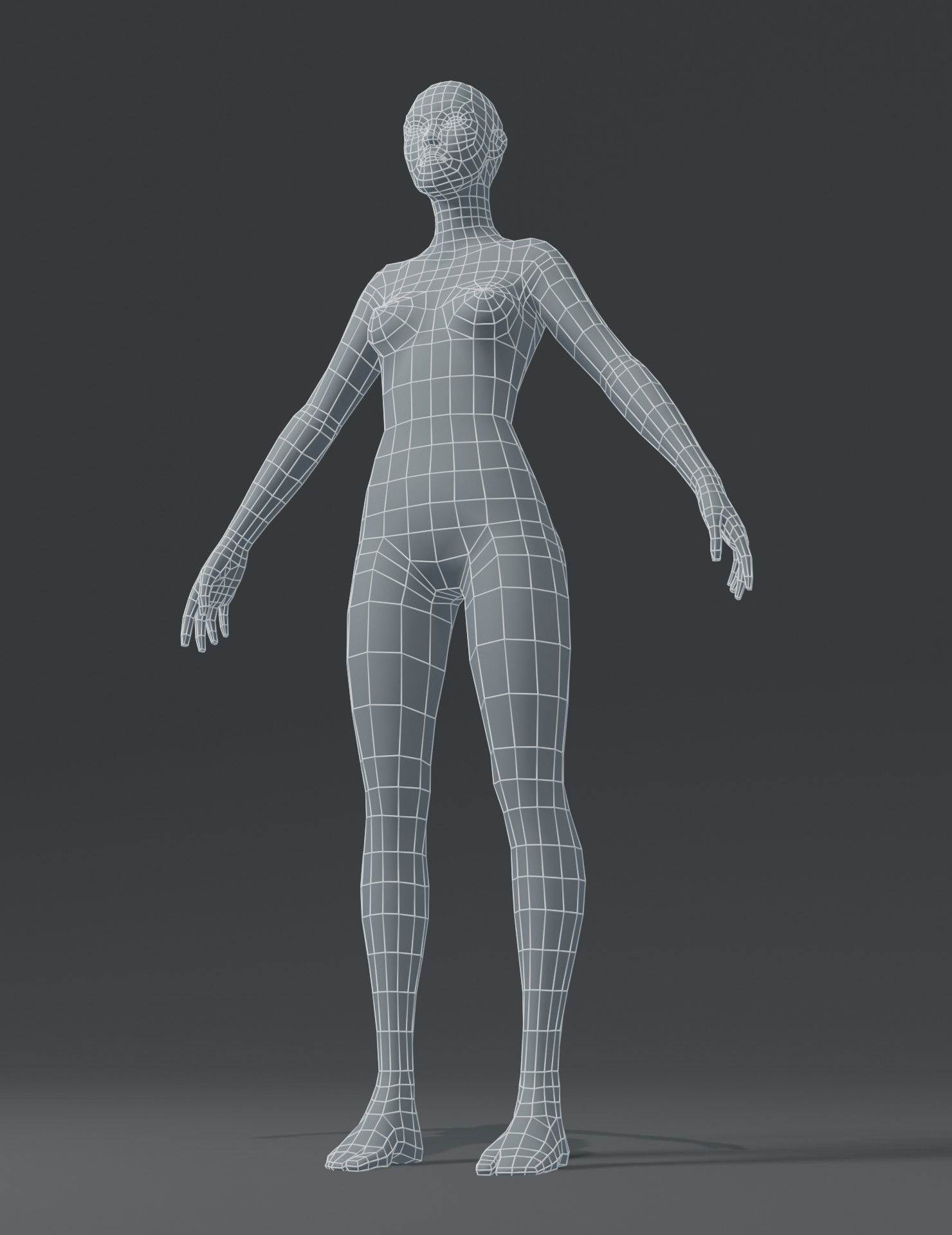 Female Body Base Mesh 3D Model Low-poly 3D model_14