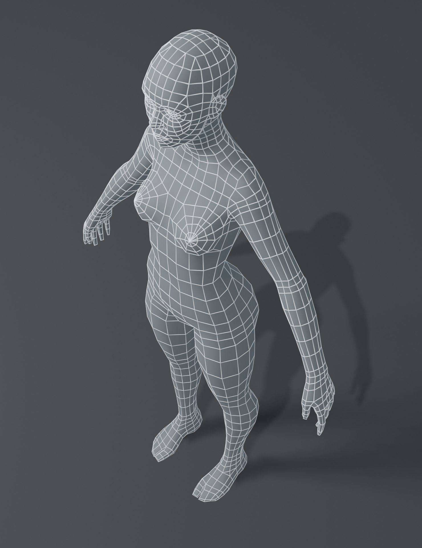 Female Body Base Mesh 3D Model Low-poly 3D model_20