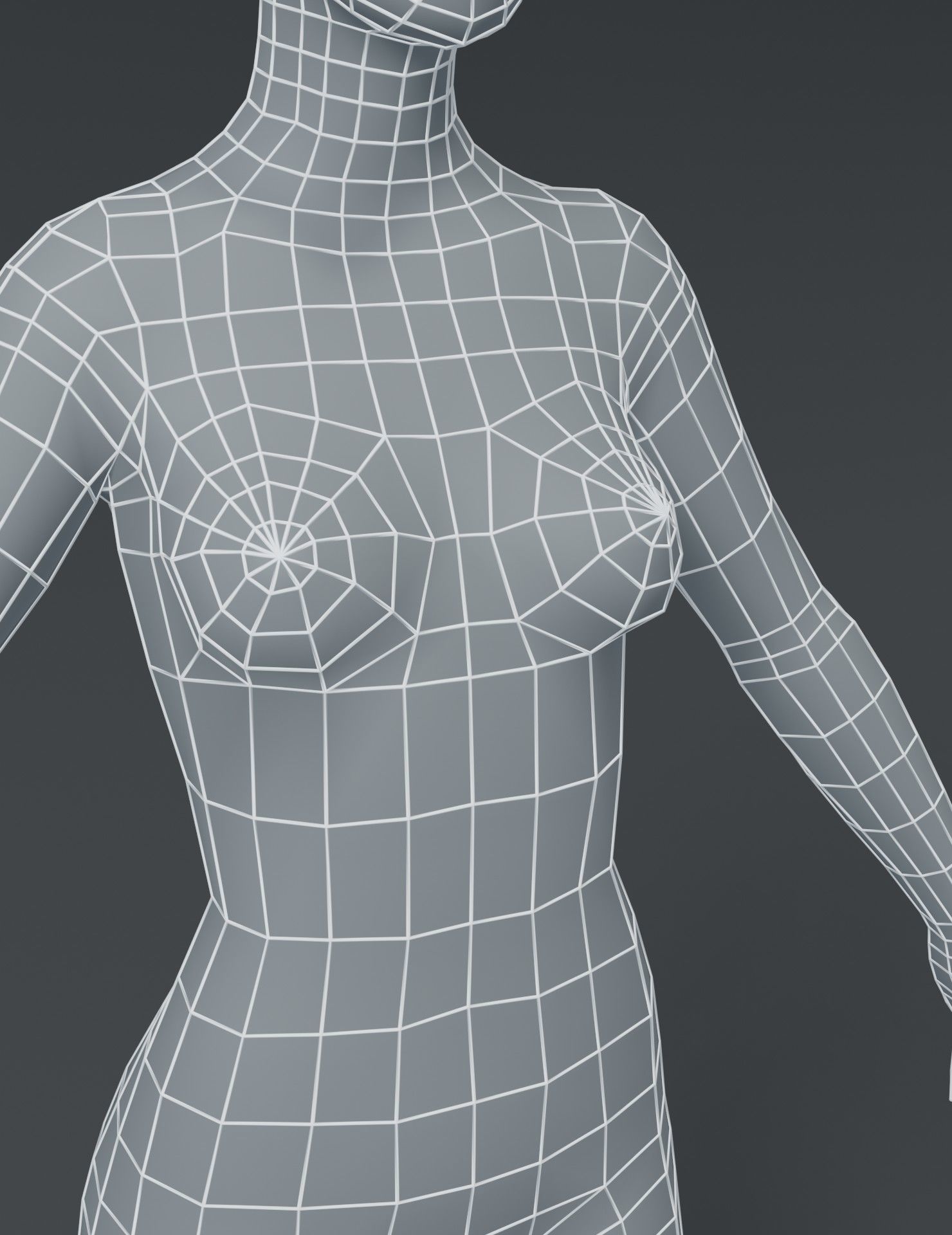 Female Body Base Mesh 3D Model Low-poly 3D model_16