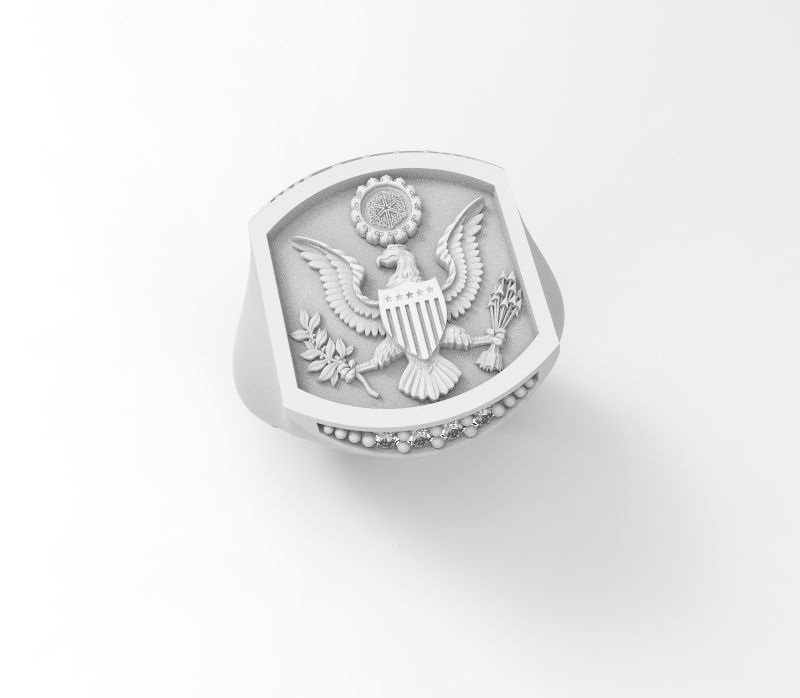 USA RING  3D model_2