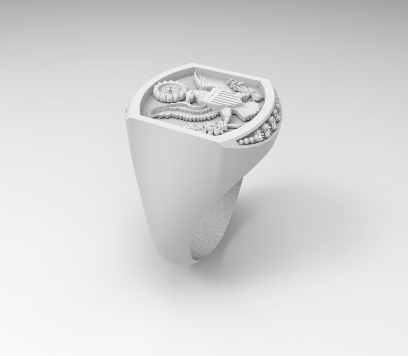 USA RING  3D model_3