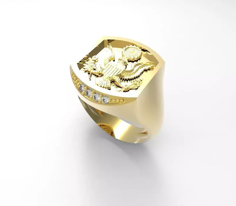 USA RING  3D model_0