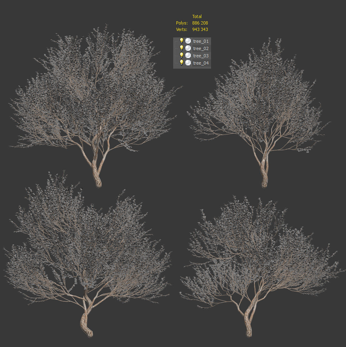 Set of olive trees - 4 models 3D model_10