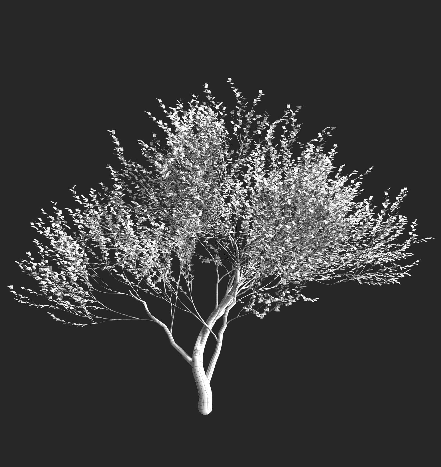 Set of olive trees - 4 models 3D model_9