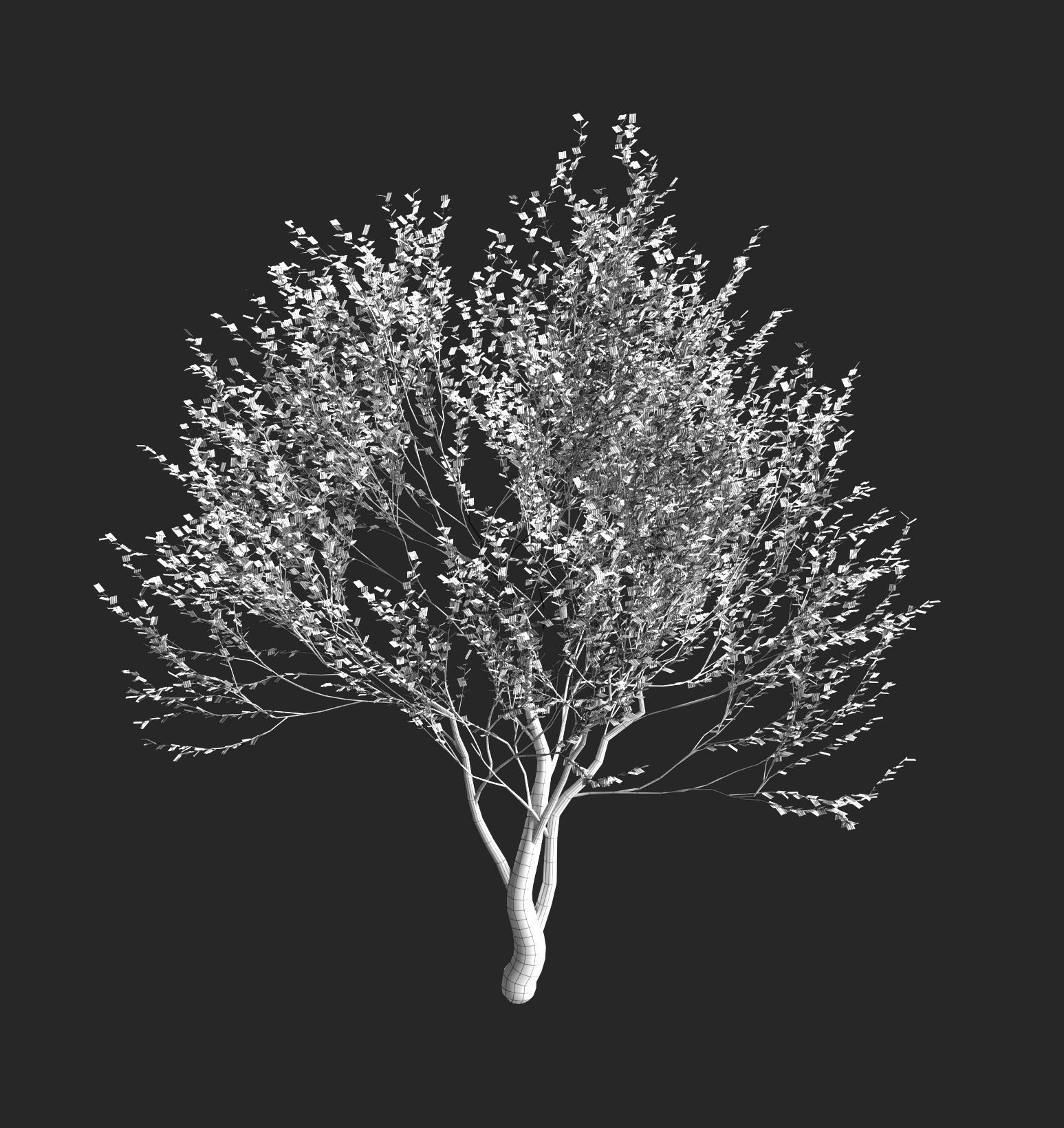 Set of olive trees - 4 models 3D model_7