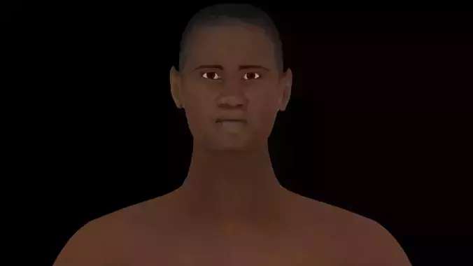 Model 6 male nude body