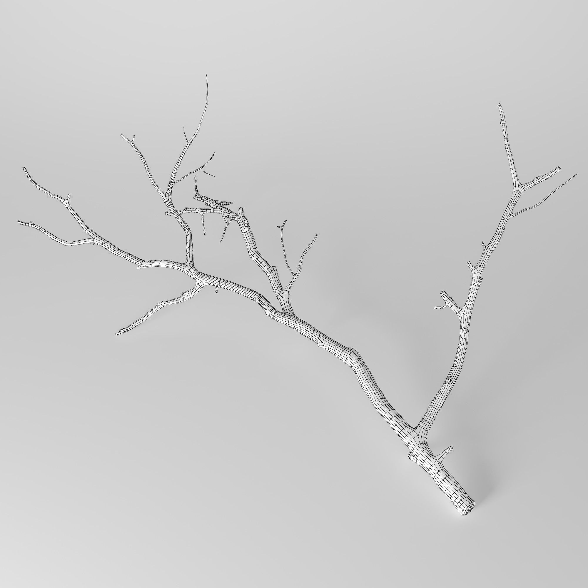 Branch 3D model_5