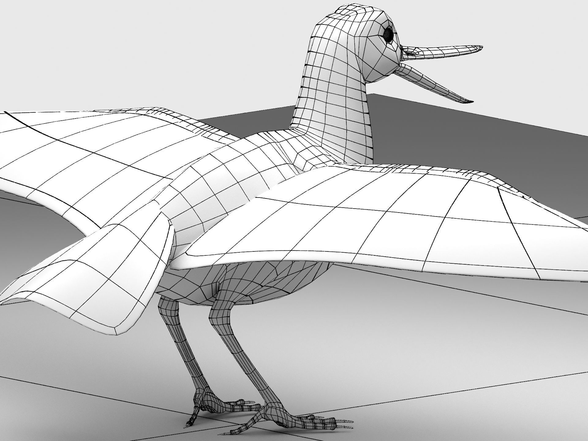 3D model Oyster Catcher Oystercatcher VR / AR / lowpoly CGTrader