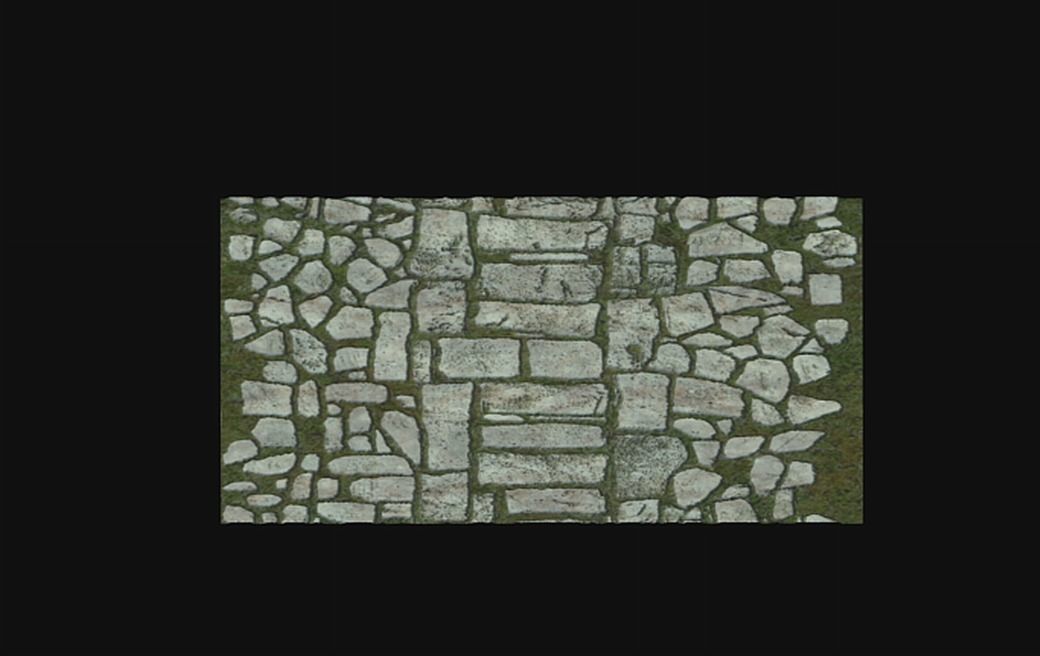 New Village - the surface 3D model_13