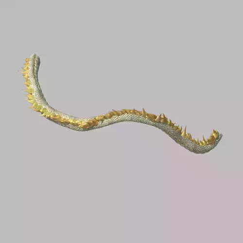 Shinomiya village dragon middle