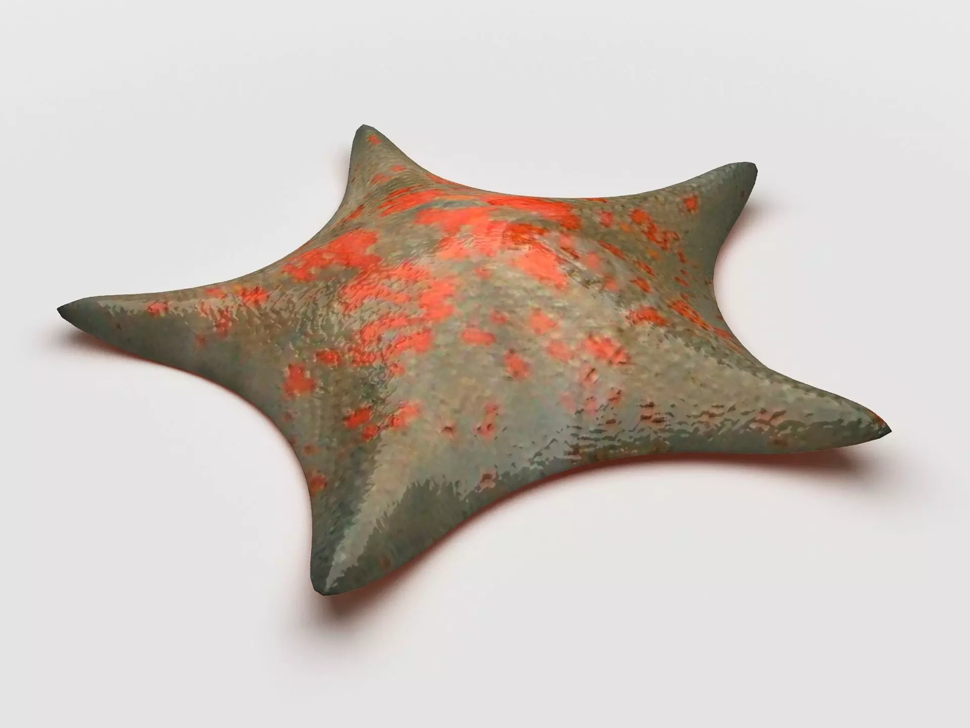 Petrel Sea star Low-poly 3D model_0