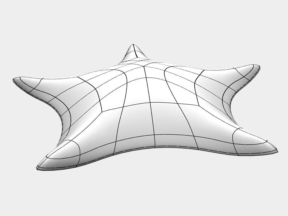 Petrel Sea star Low-poly 3D model_4