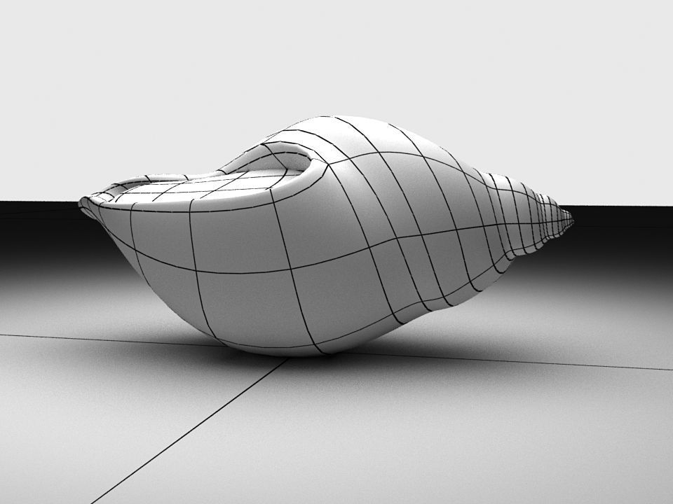 Dog whelk Rock whelk Sea snail Low-poly 3D model_2