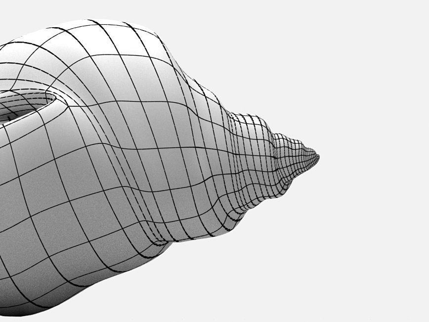 Sea snail Low-poly 3D model_8