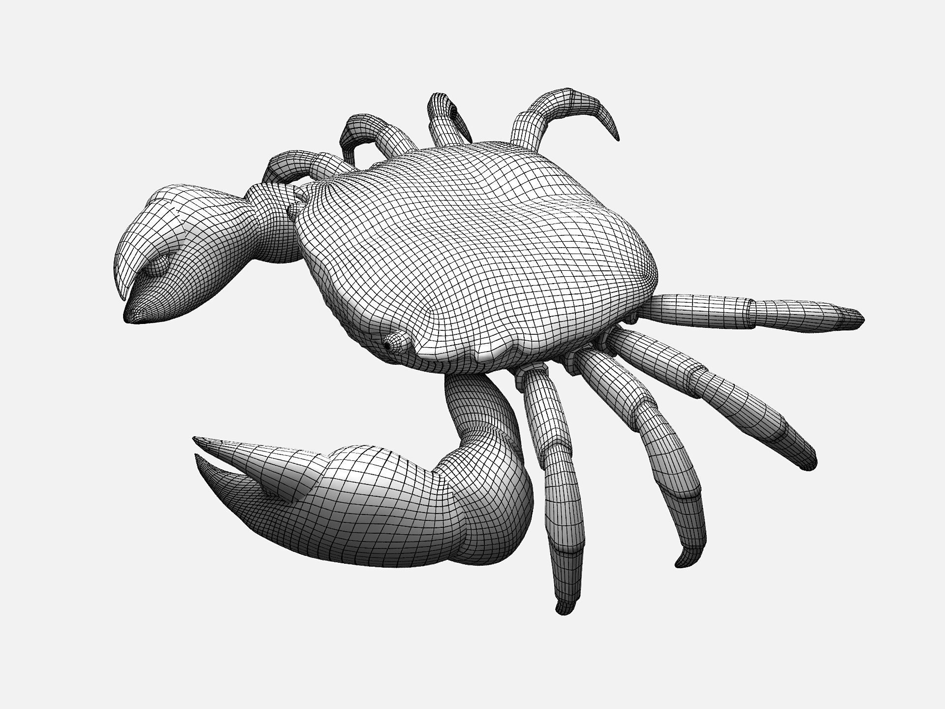 Hemigrapsus sanguineus Crab Low-poly 3D model_1