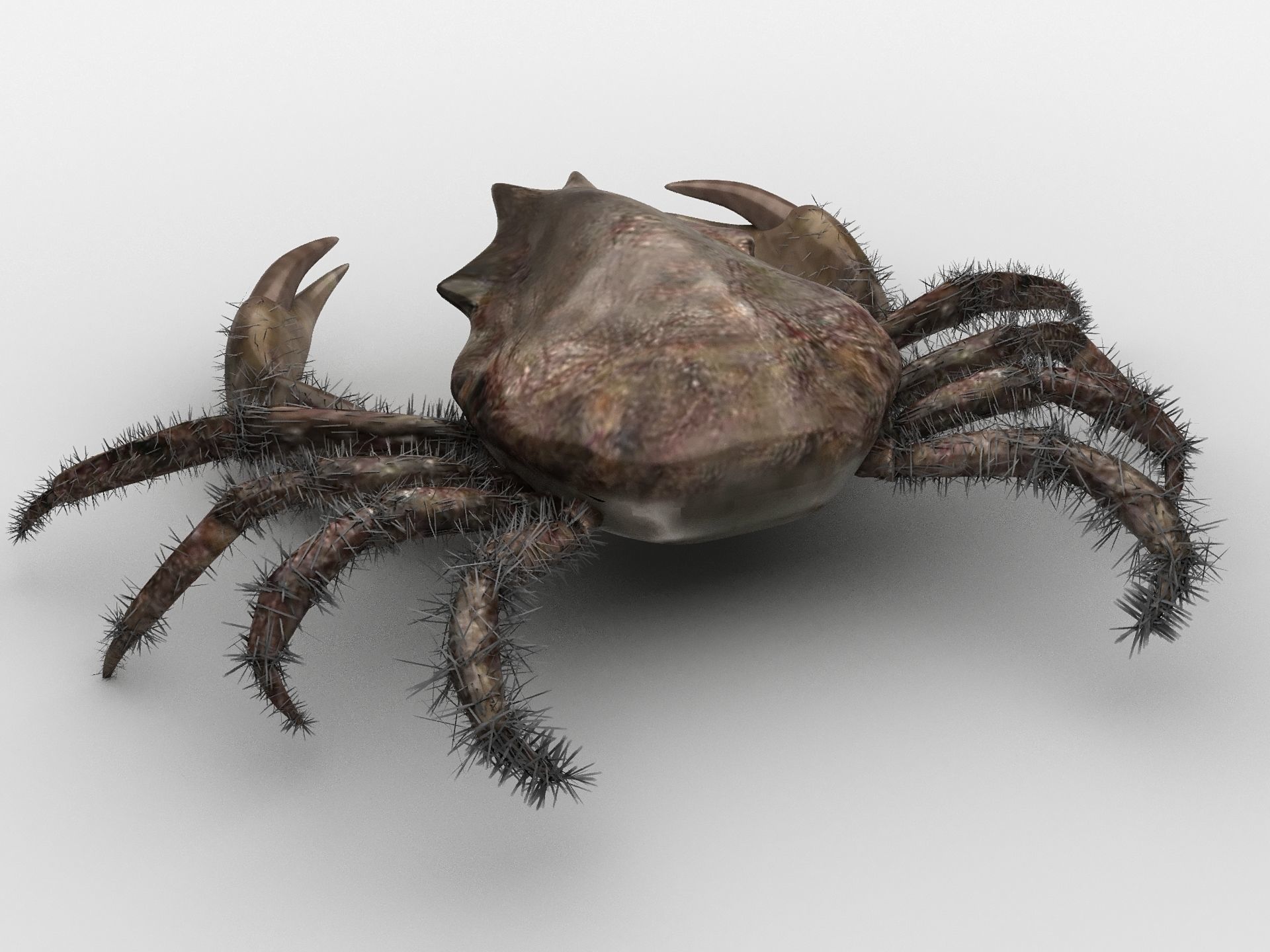 DECAPODA Crab Low-poly 3D model_3