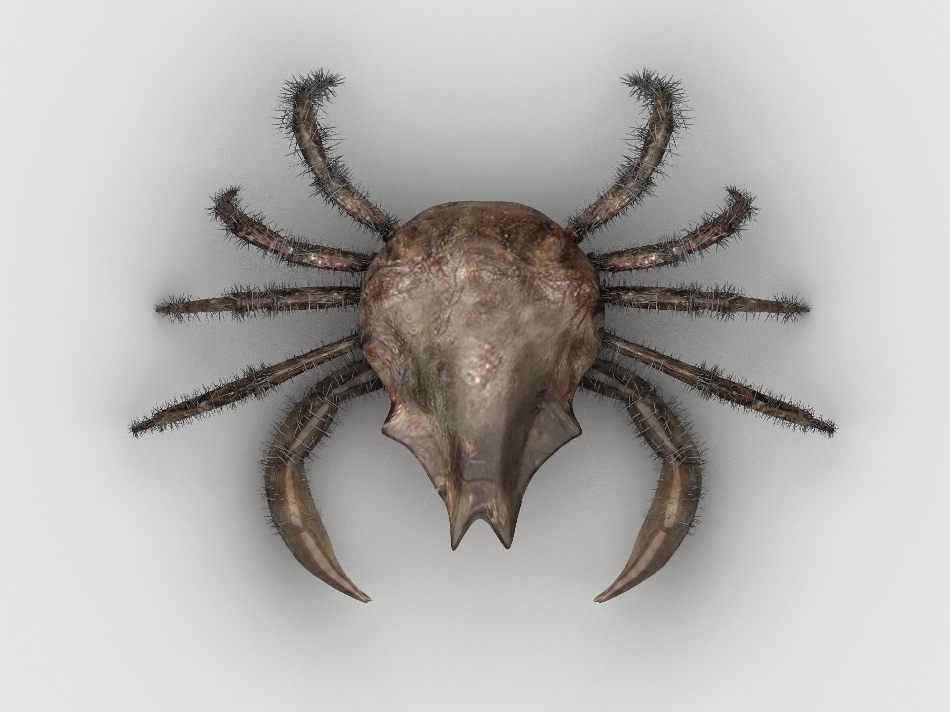DECAPODA Crab Low-poly 3D model_2