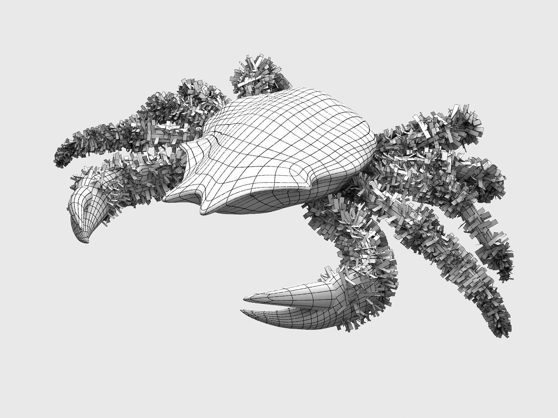 DECAPODA Crab Low-poly 3D model_1