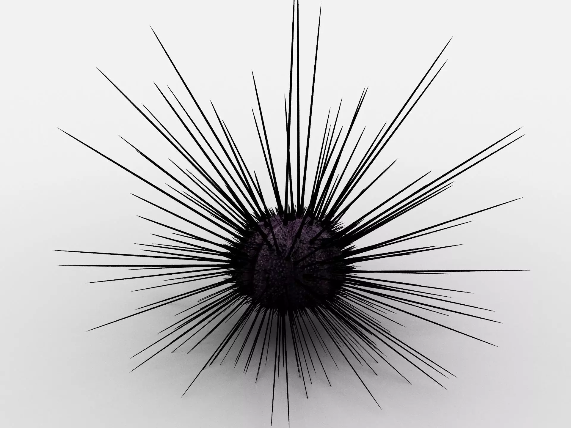 Sea urchin Low-poly 3D model