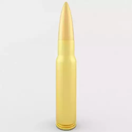 7 62x51 NATO Cartridge