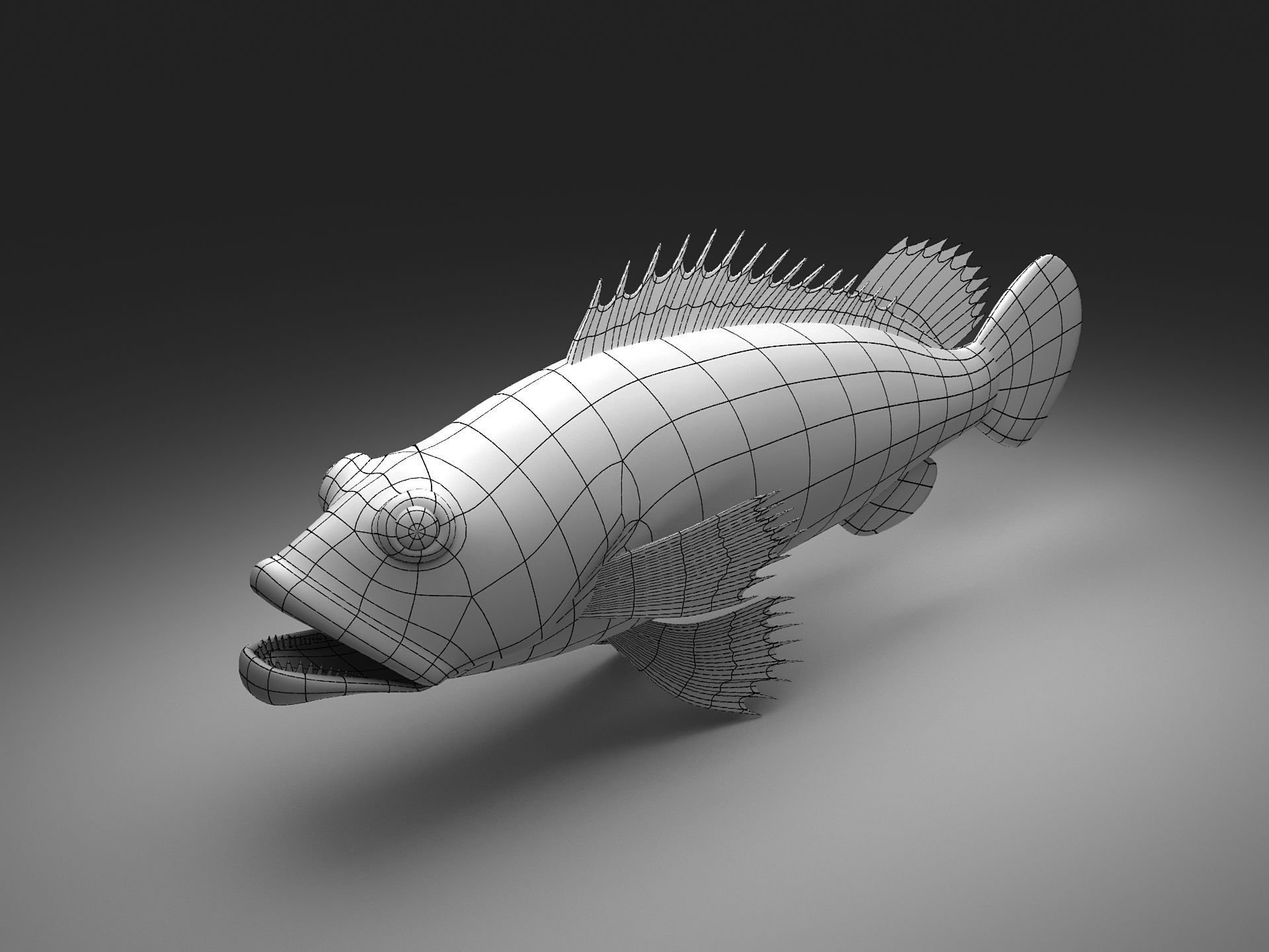 Grouper Epinephelussp Rockfish Low-poly 3D model_6